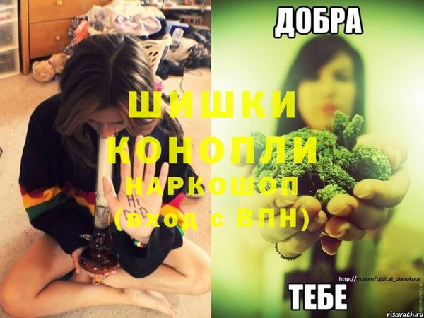 амф Новодвинск