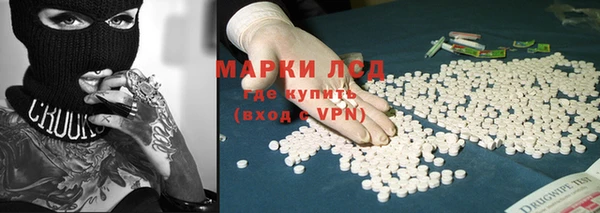 амф Новодвинск