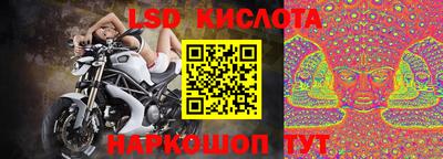 прущие крисы Гай