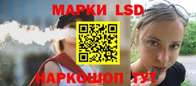 гидра Гатчина