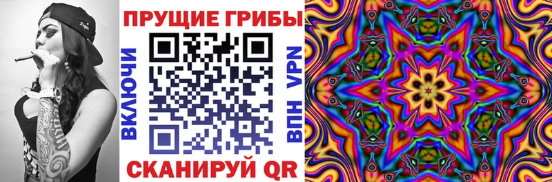 где купить наркотик  Губкинский  Псилоцибиновые грибы MAGIC MUSHROOMS 