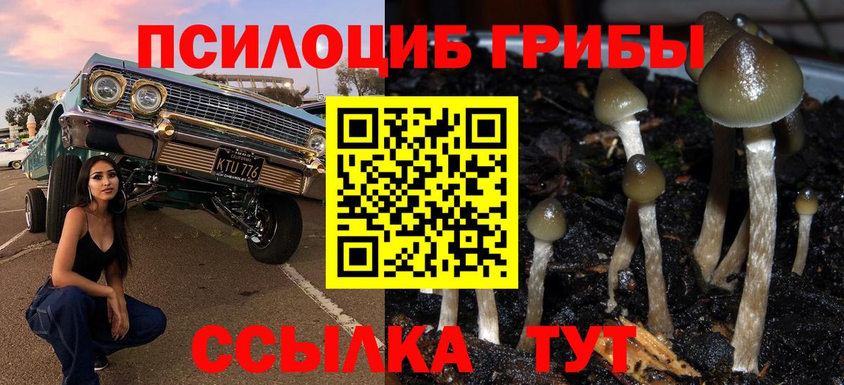 Галлюциногенные грибы GOLDEN TEACHER Губкинский