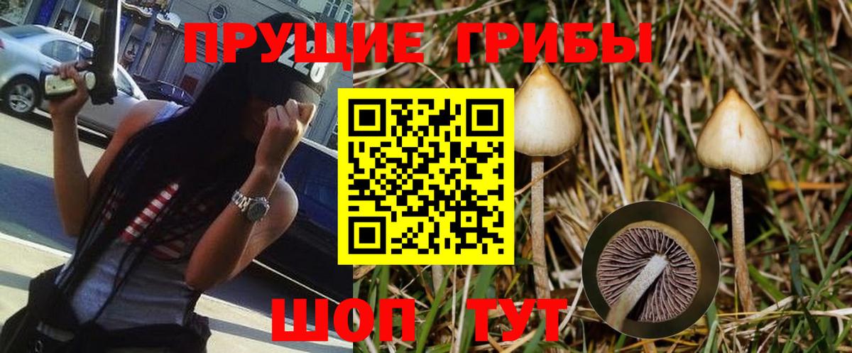 Псилоцибиновые грибы мухоморы  Вход с VPN  Губкинский 