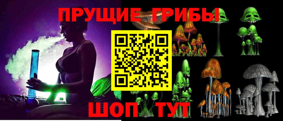 Псилоцибиновые грибы мухоморы Губкинский